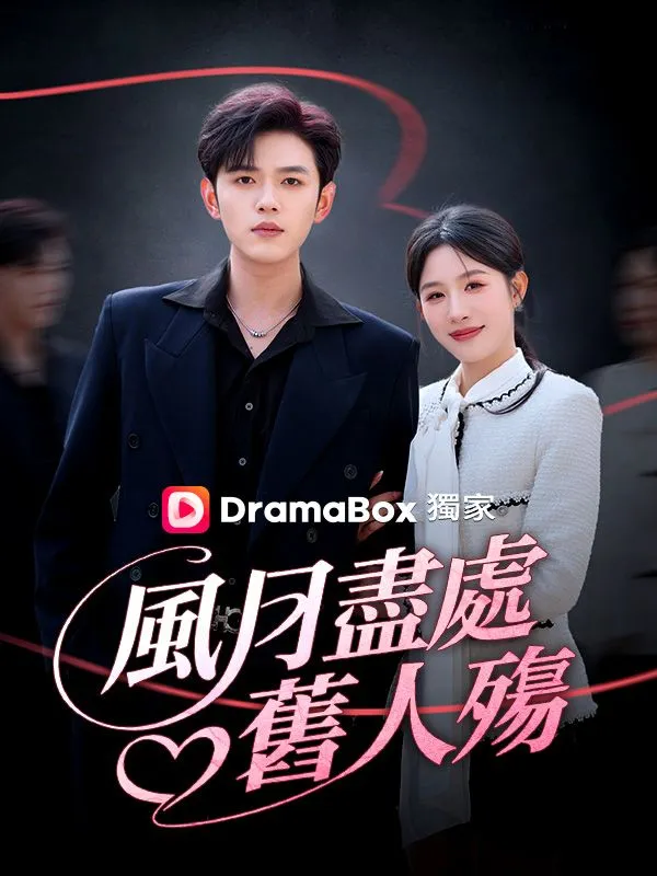《風月盡處舊人殤》封面
