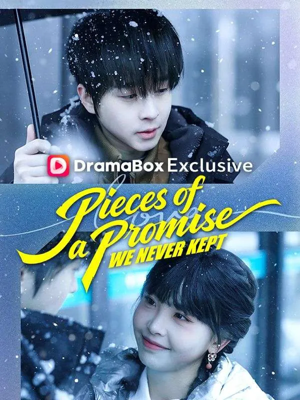 Pieces of a Promise We Never Kept cover