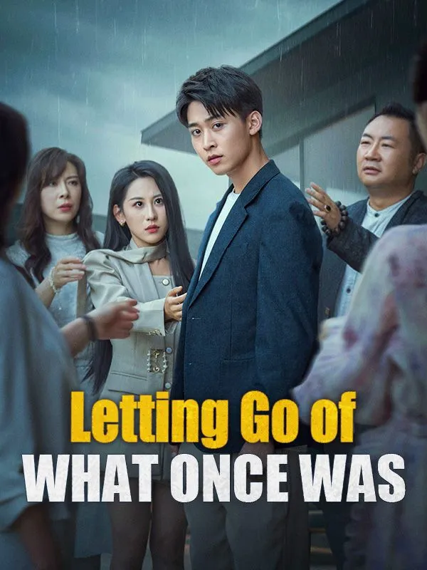 Letting Go of What Once Was(DUBBED) cover