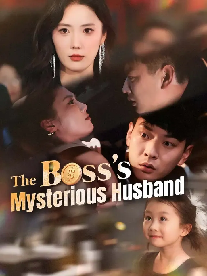The Boss's Mysterious Husband cover