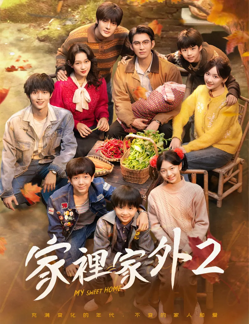 《家裡家外2》封面