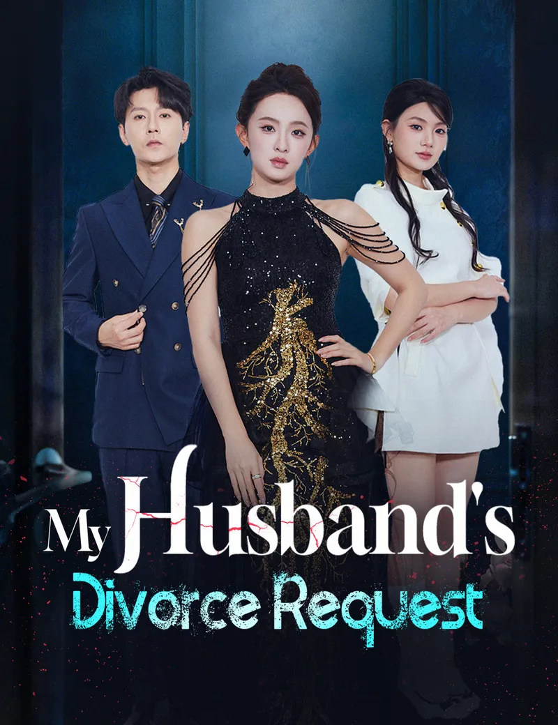 My Husband's Divorce Request cover