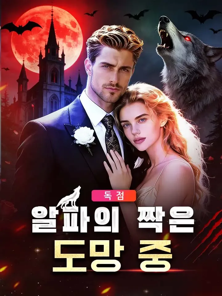 알파의 짝은 도망 중 표지