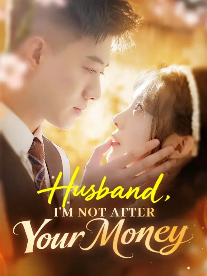 Husband, I'm Not After Your Money cover