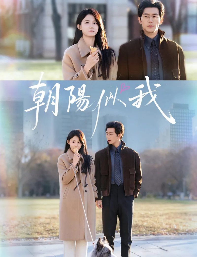 《朝陽似我》封面