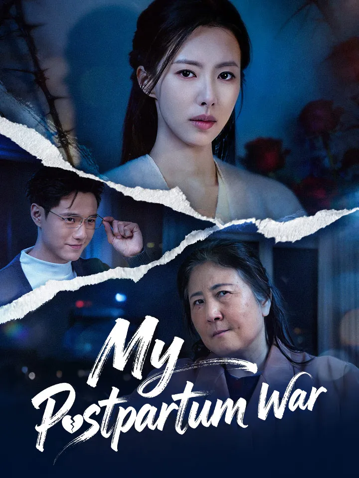 My Postpartum War cover