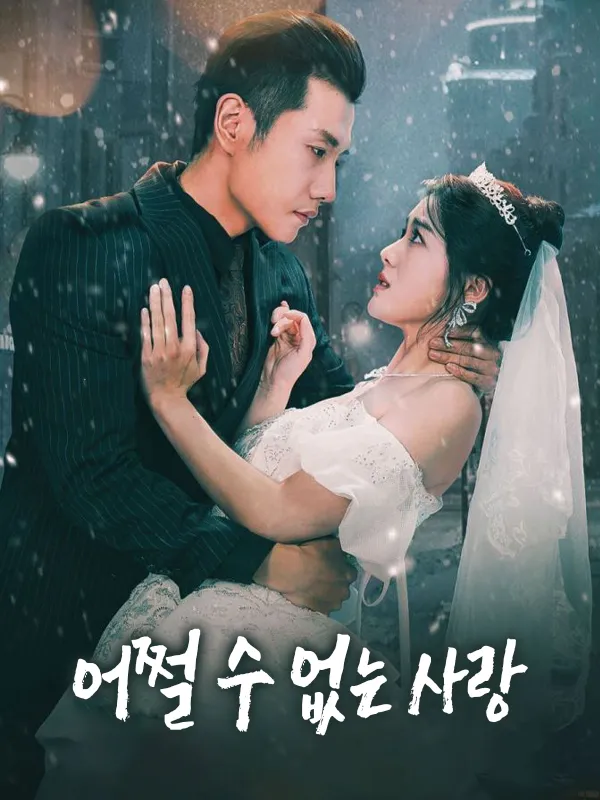 어쩔 수 없는 사랑 표지