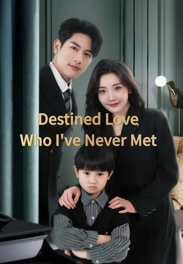 Destined Love Who I've Never Met cover