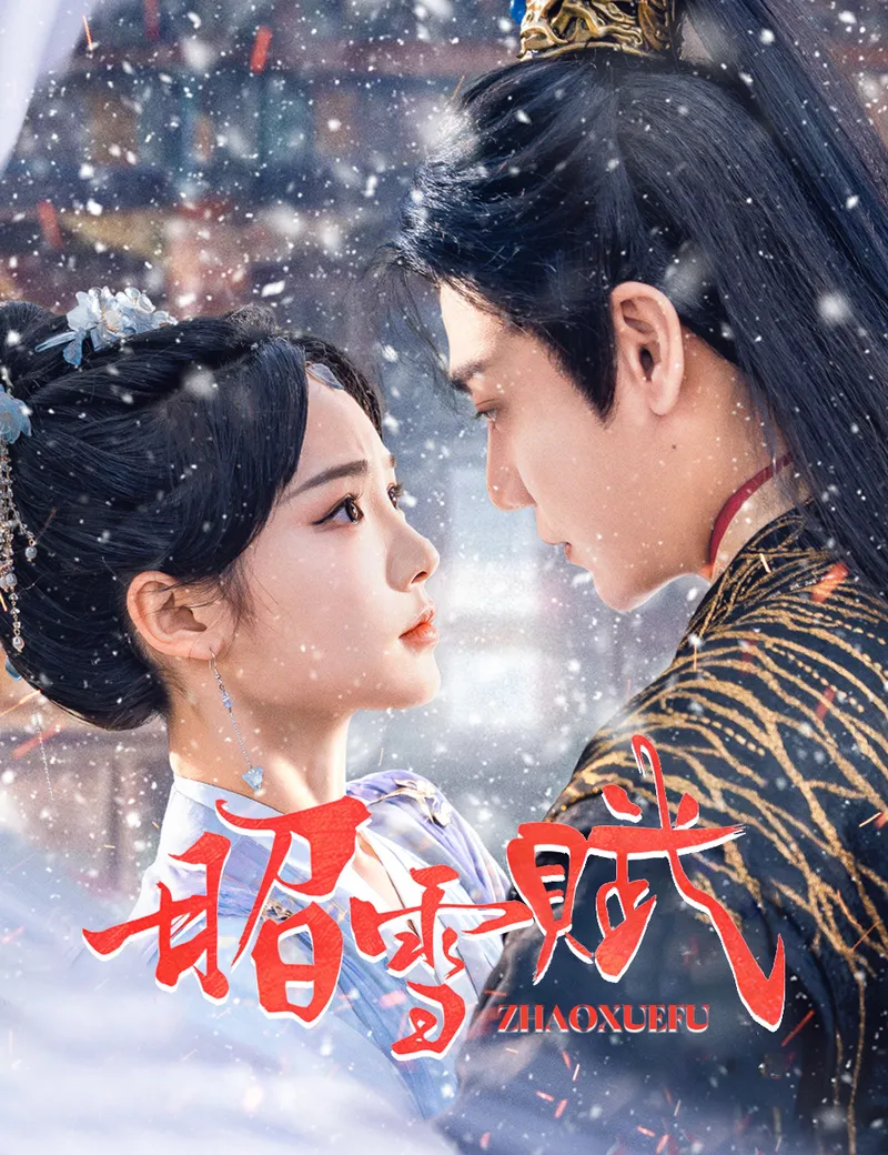 《昭雪賦》封面