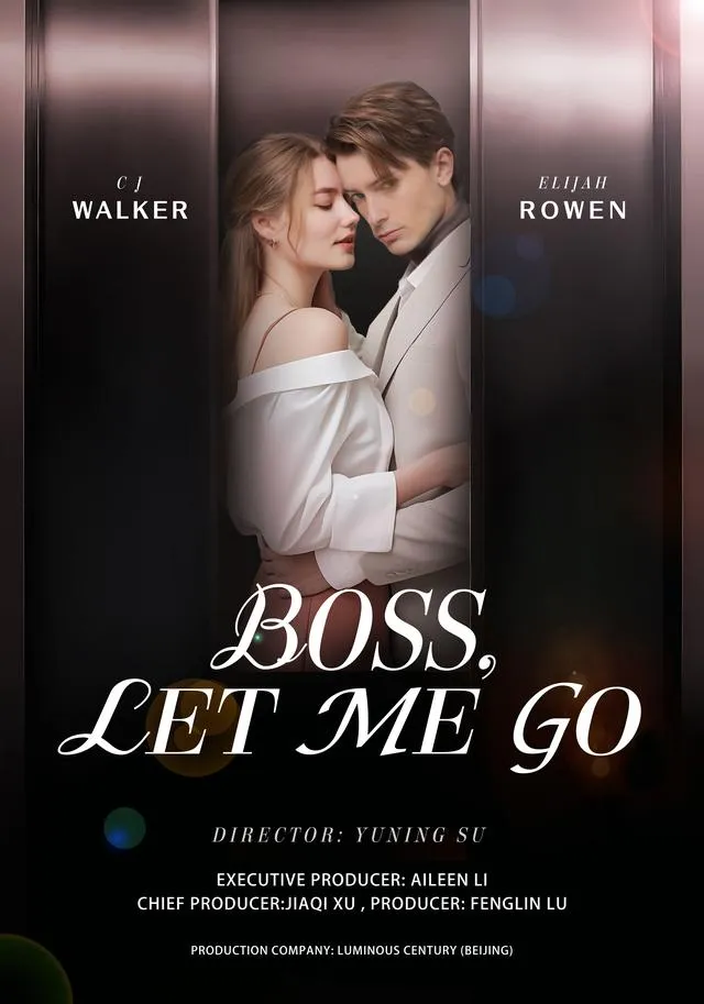 Boss Let Me Go cover