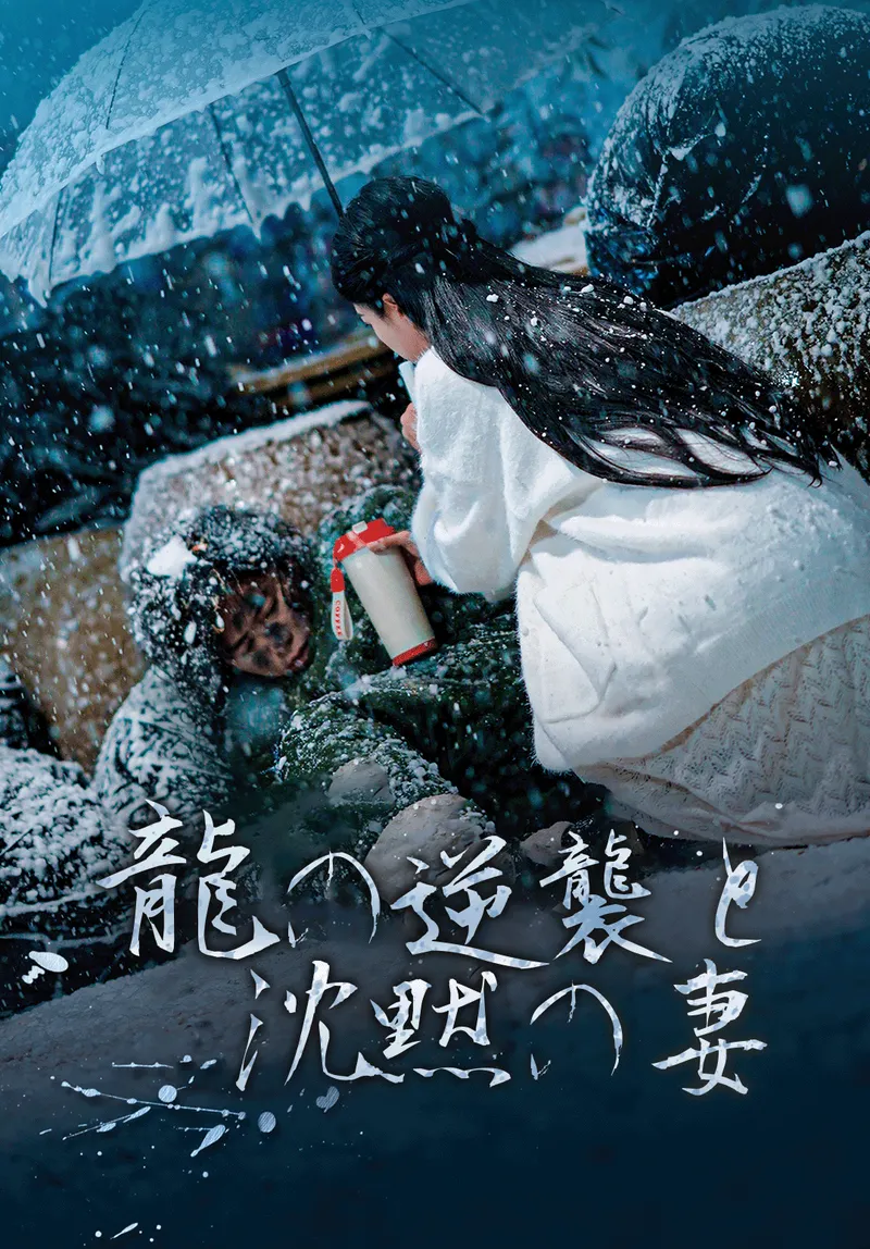 「龍の逆襲と沈黙の妻」のカバー画像