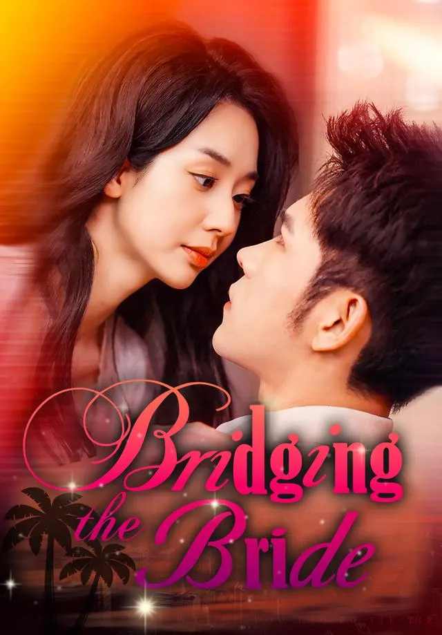 Bridging the Bride cover