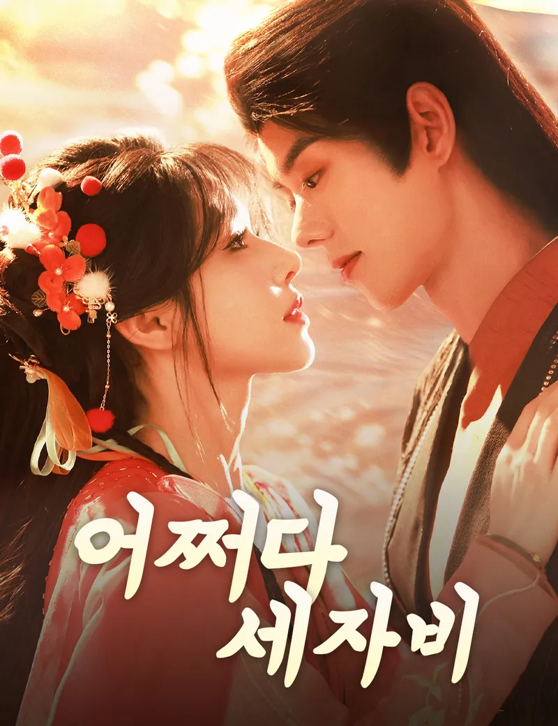 어쩌다 세자비 표지