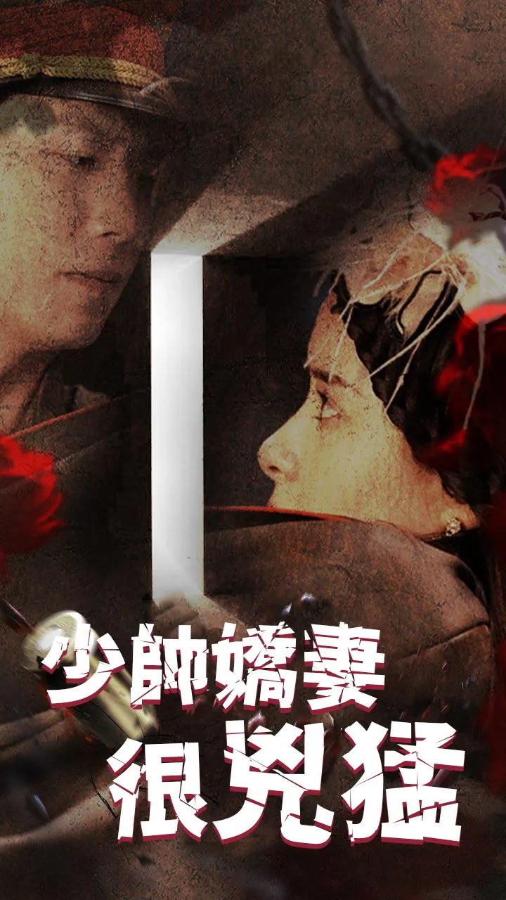《少帥嬌妻很兇猛》封面