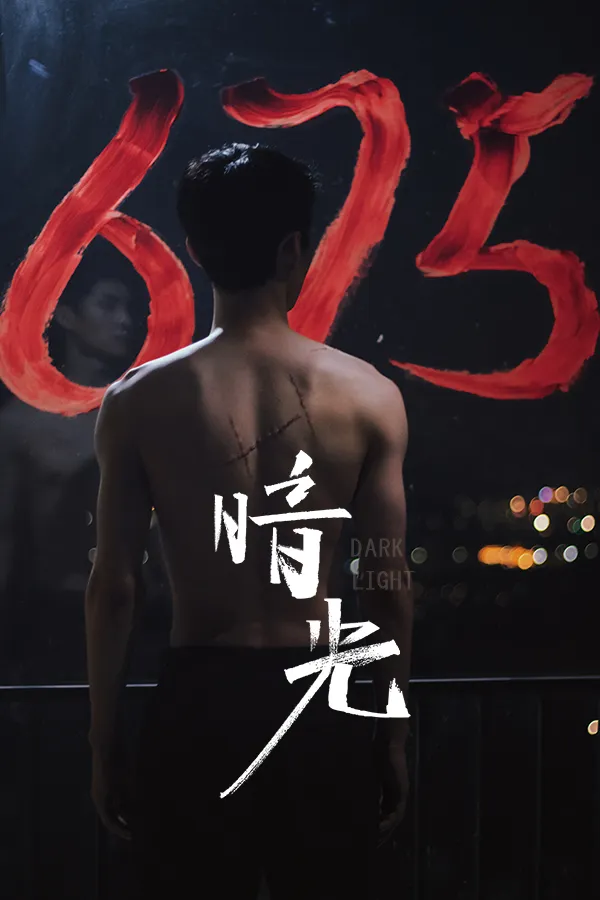 《暗光》封面