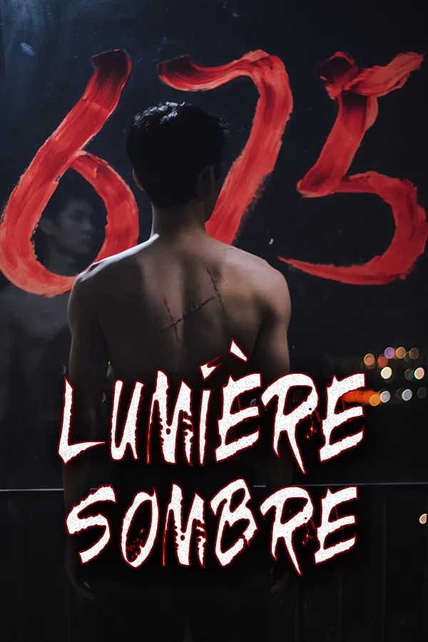 Couverture de Lumière Sombre