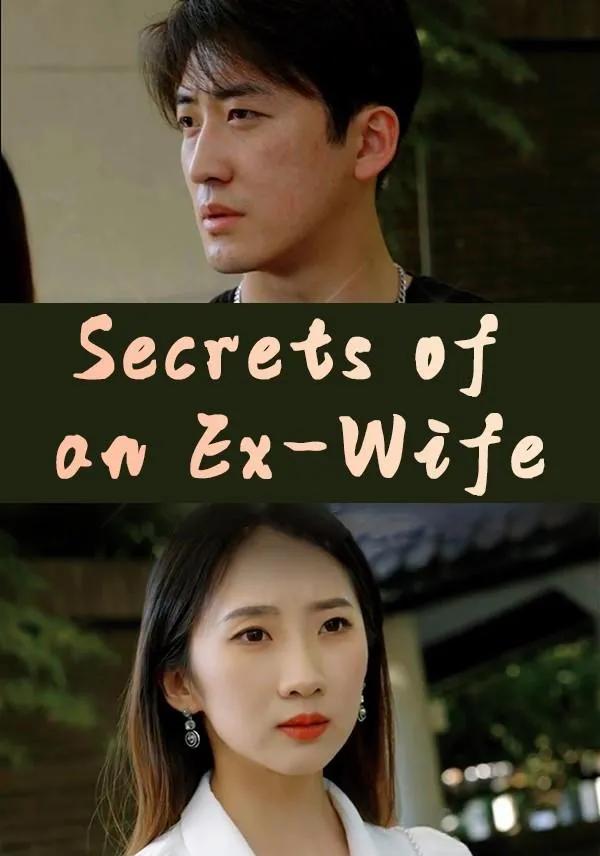 Secrets of an Ex-Wife cover