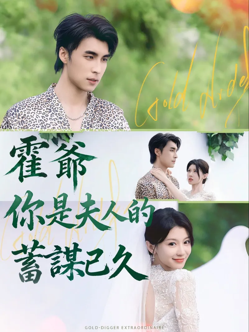 《霍爺，你是夫人的蓄謀已久》封面