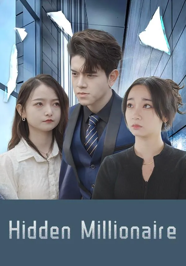 Hidden Millionaire cover