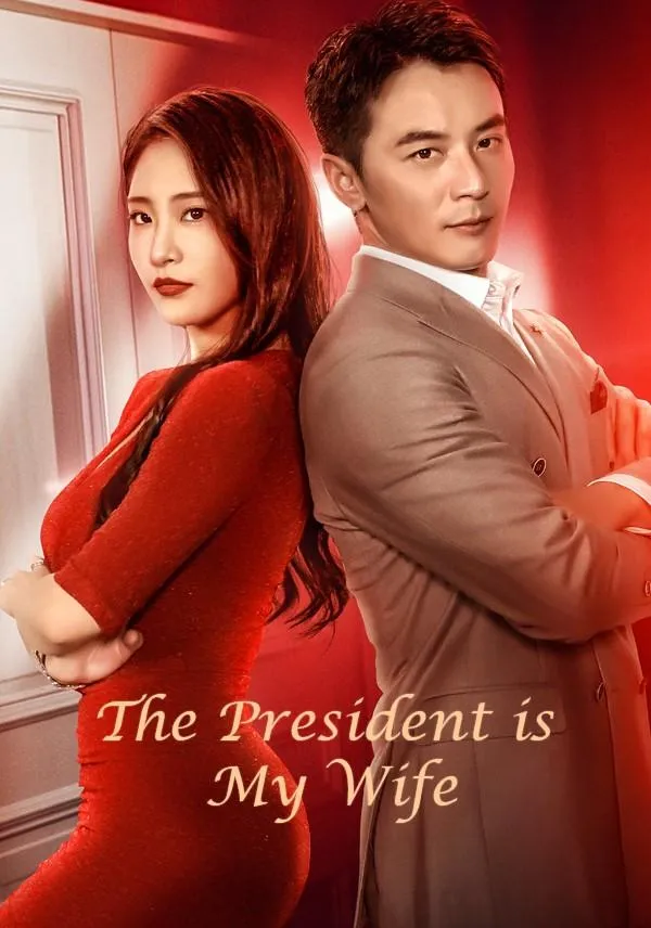 The President is My Wife cover