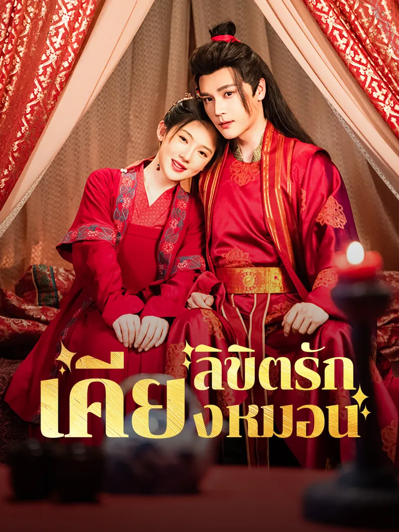หน้าปกลิขิตรักเคียงหมอน
