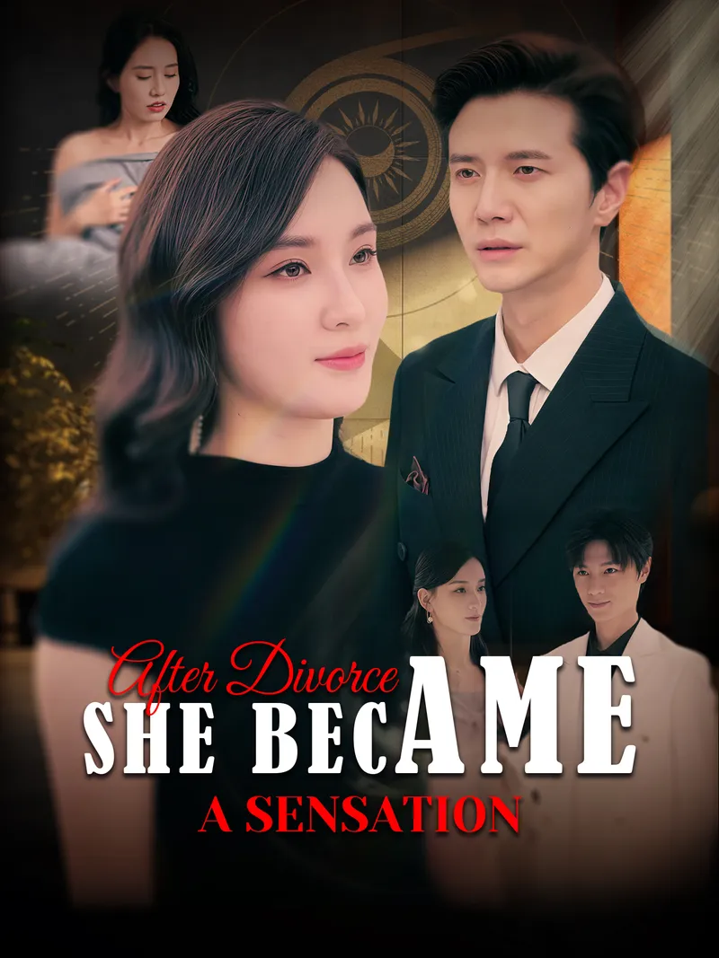 After Divorce, She Became a Sensation cover