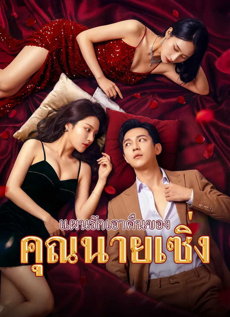 หน้าปก[พากย์ไทย]แผนรักเอาคืนของคุณนายเซิ่ง