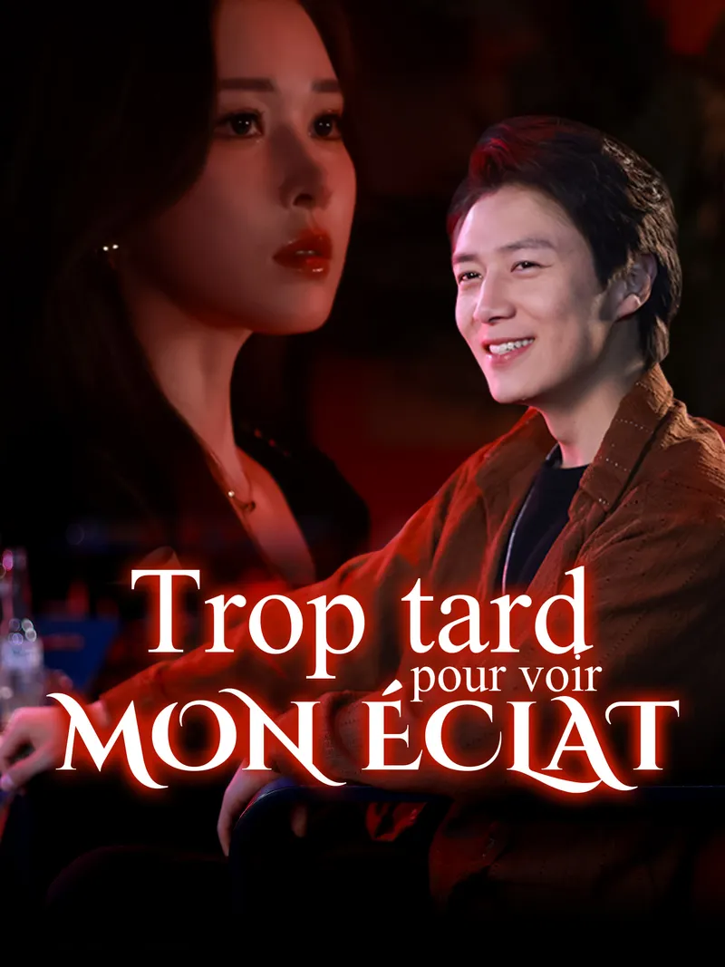 Couverture de Trop tard pour voir mon éclat