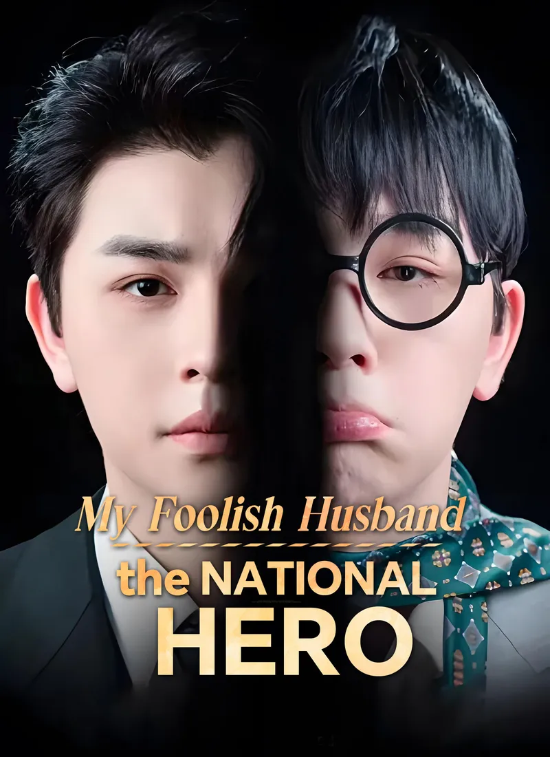 My Foolish Husband, the National Hero cover