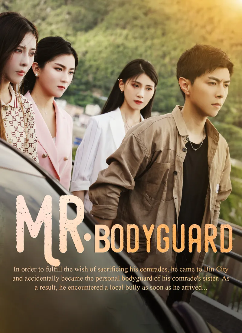 Mr. Bodyguard cover