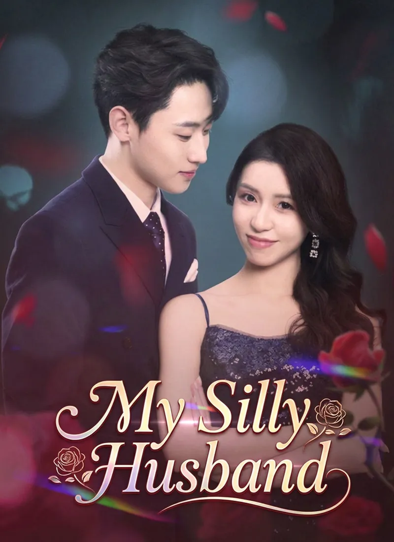 My Silly Husband cover