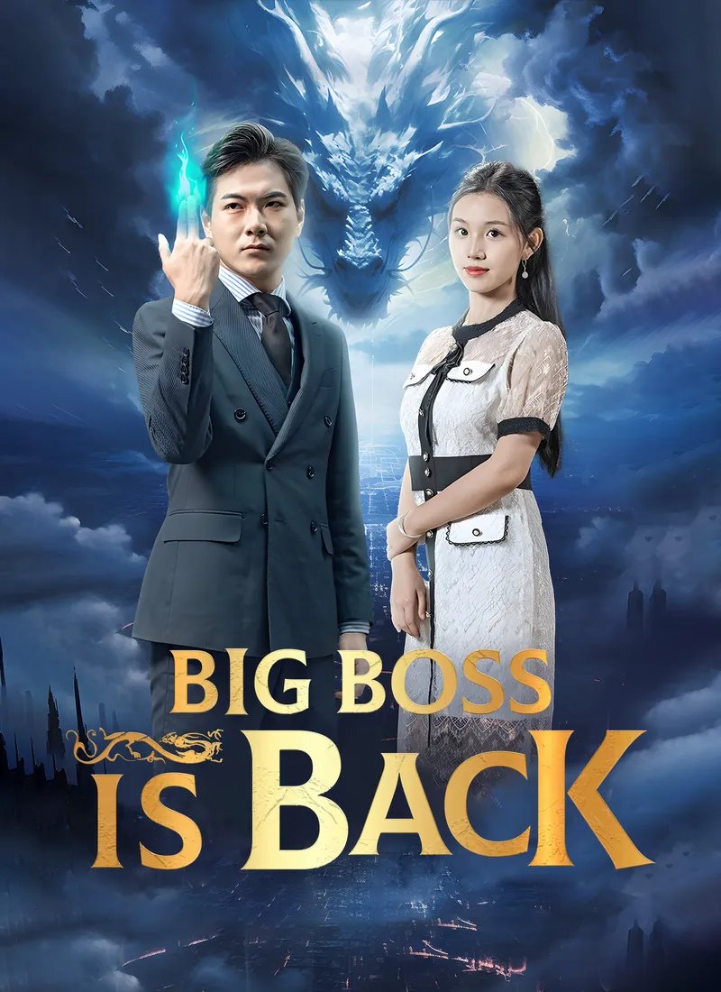 Big Boss Is Back cover