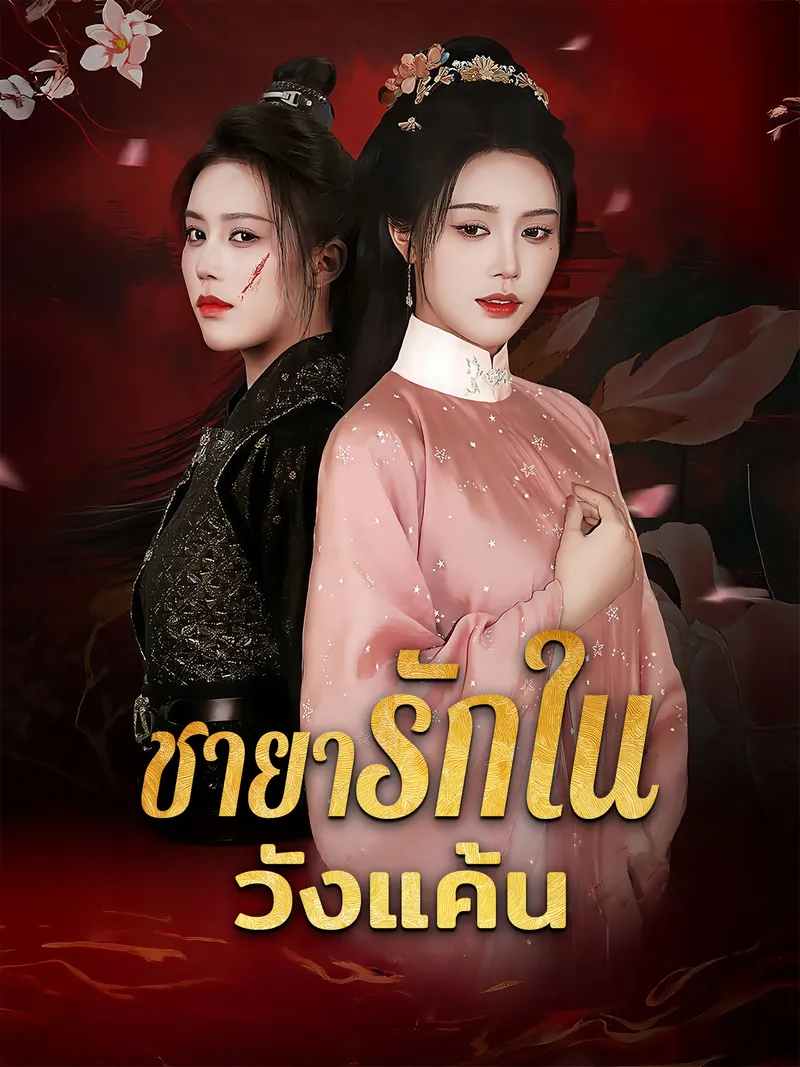 หน้าปกชายารักในวังแค้น
