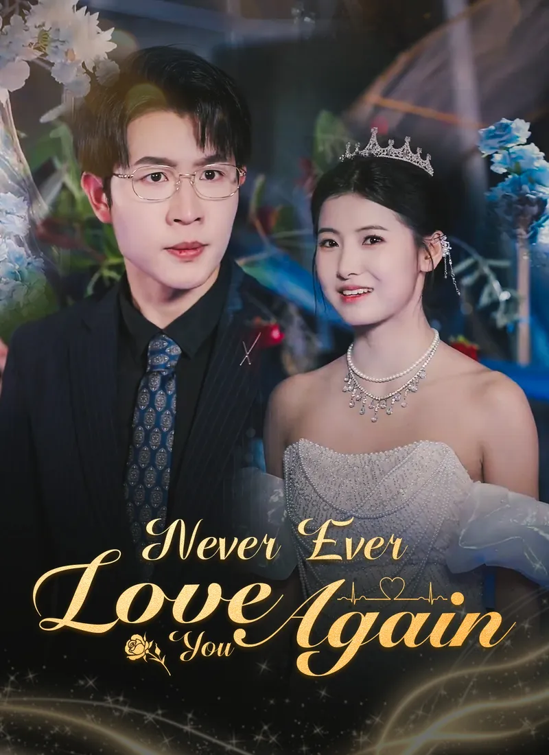 Never Ever Love You Again cover