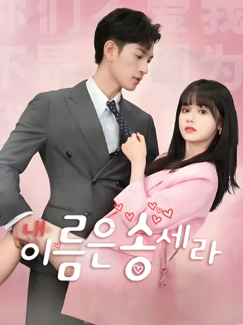 내 이름은 송세라 표지