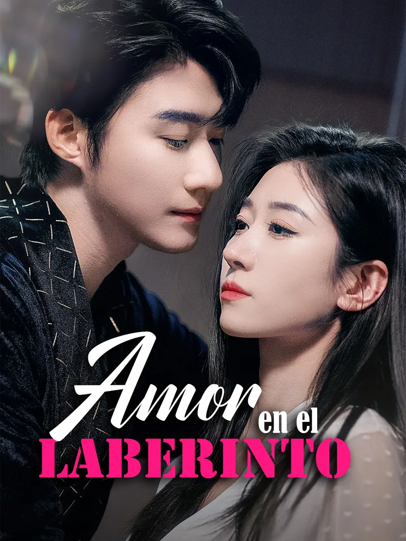 Portada de Amor en el Laberinto