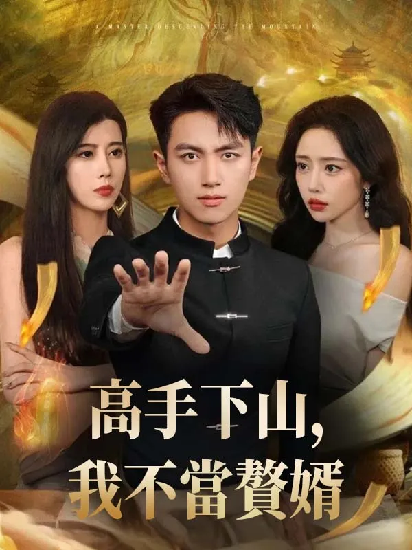 《高手下山，我不當贅婿》封面