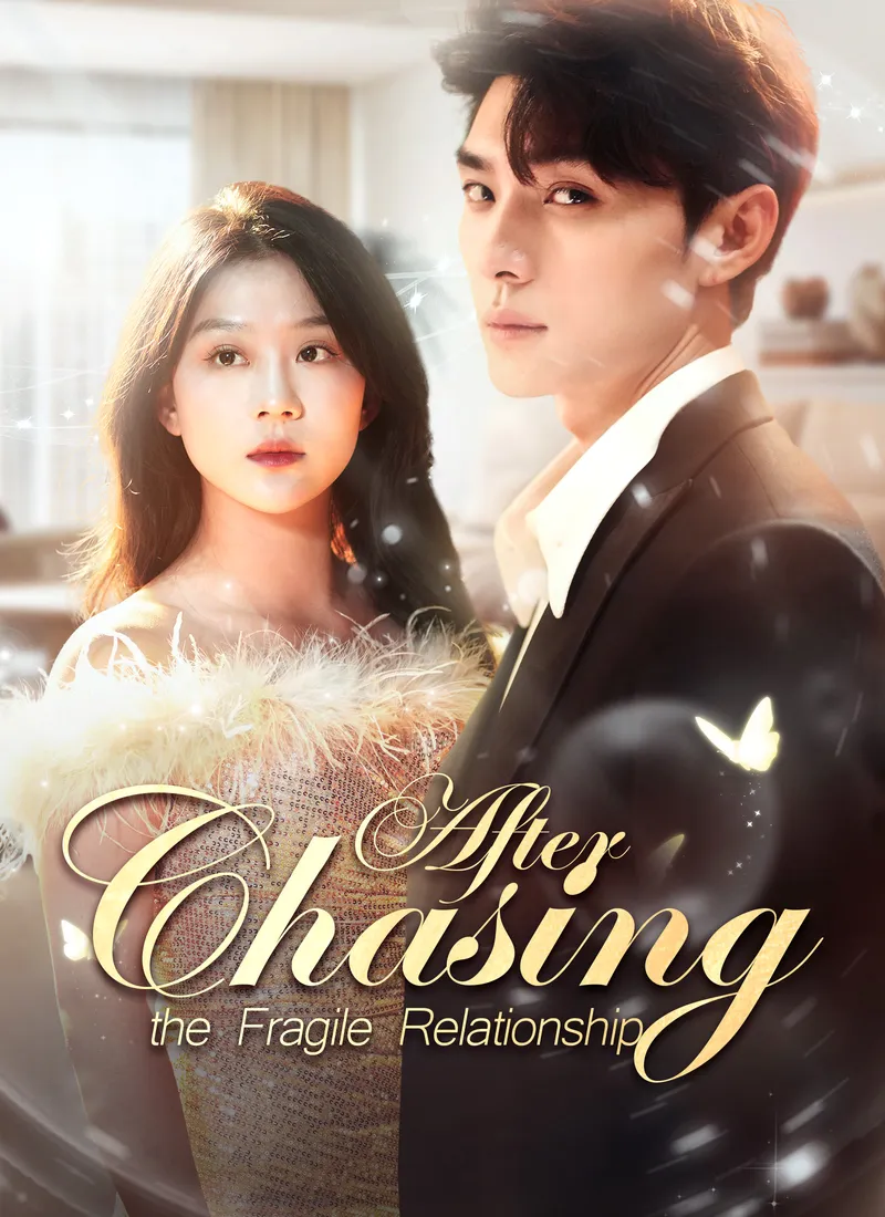 Chasing After the Fragile Relationship cover