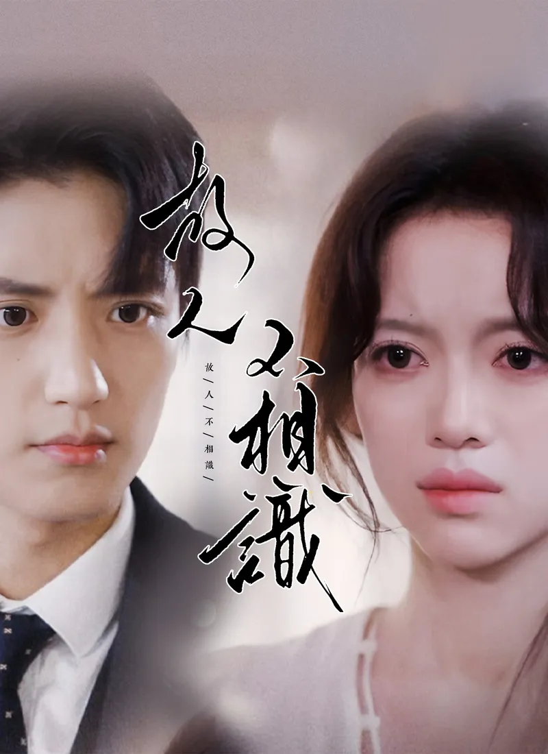 《故人不相識》封面