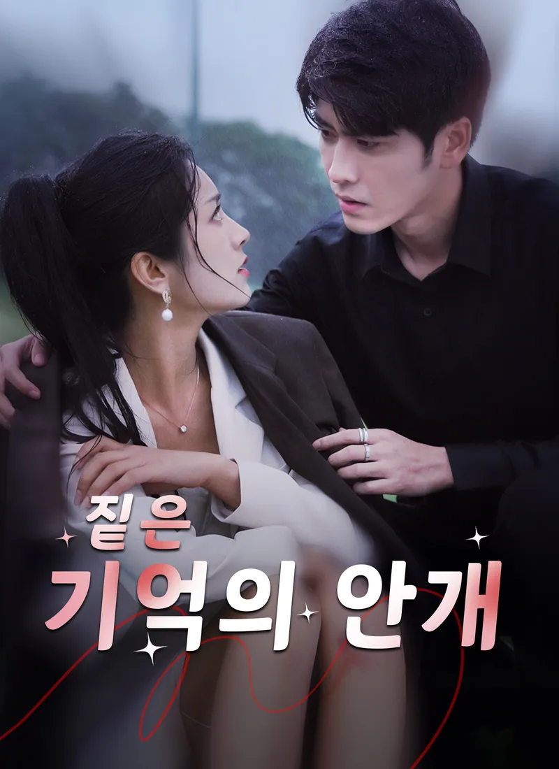 짙은 기억의 안개 표지