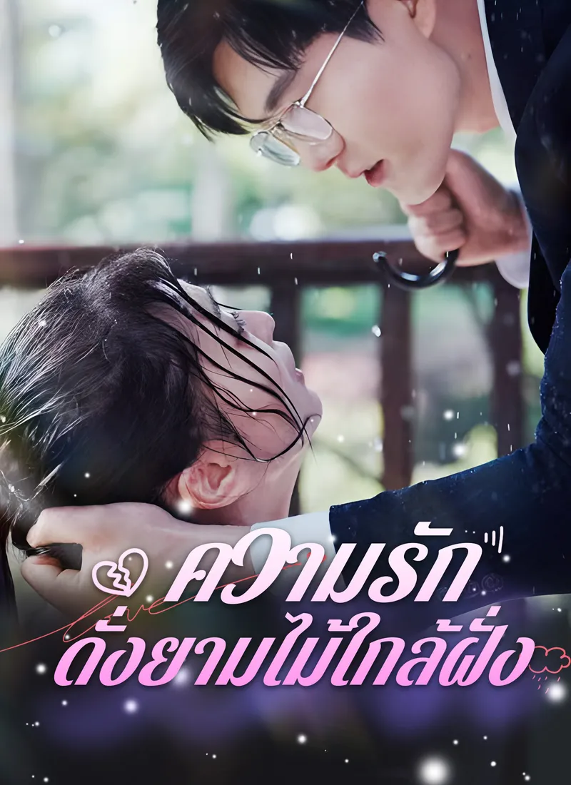 หน้าปกความรักดั่งยามไม้ใกล้ฝั่ง