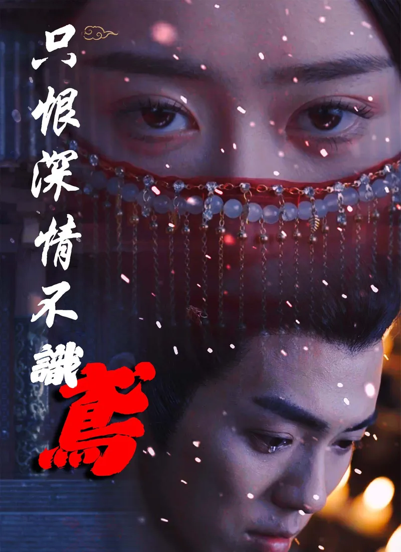 《只恨深情不識鳶》封面
