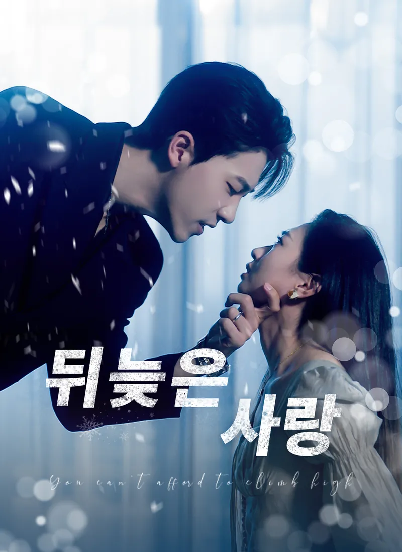 뒤늦은 사랑 표지