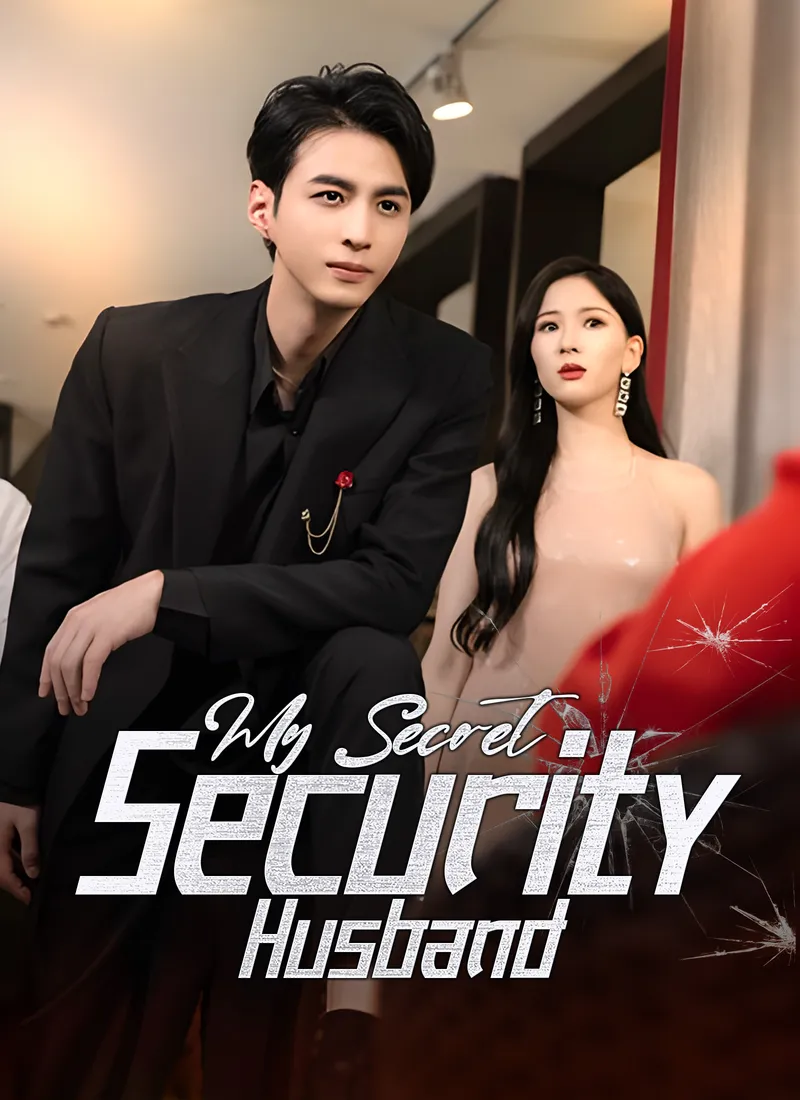 My Secret Security Husband cover