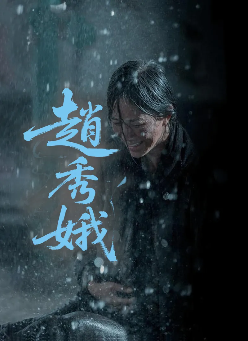 《趙秀娥》封面