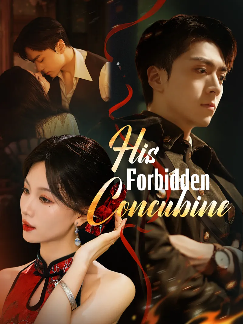 His Forbidden Concubine cover