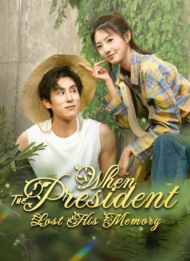 When The President Lost His Memory cover
