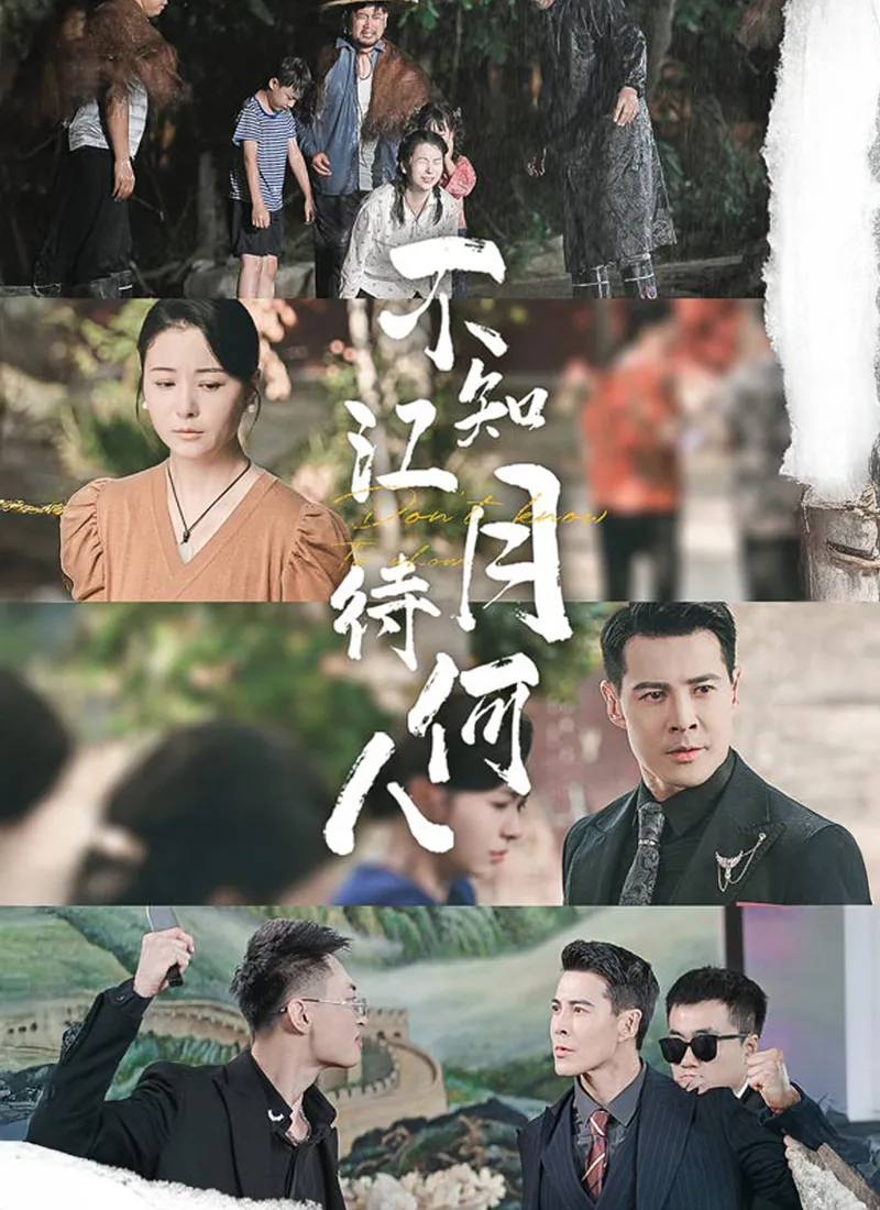 《不知江月待何人》封面