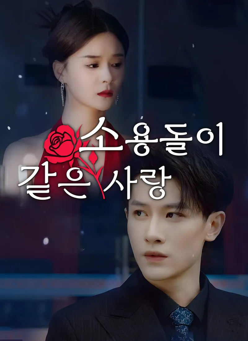 소용돌이 같은 사랑 표지