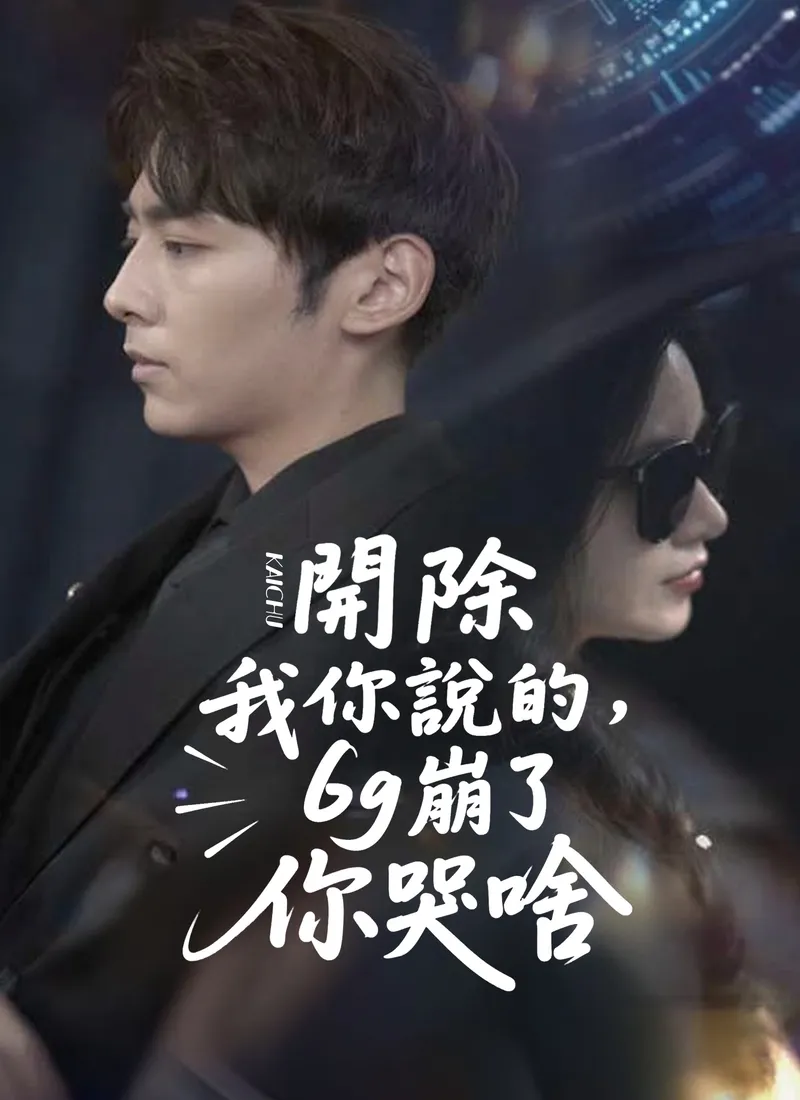《開除我你說的，6g崩了你哭啥》封面